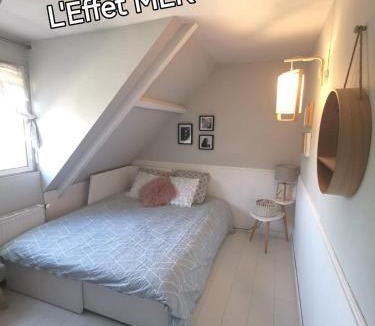 Conches-sur-Gondoire Bed & Breakfast | Villa Esperanza les2Pat -Disney -JO nautiques vaires