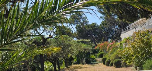 Vaison-la-Romaine Bed & Breakfast | Villa Nymphée