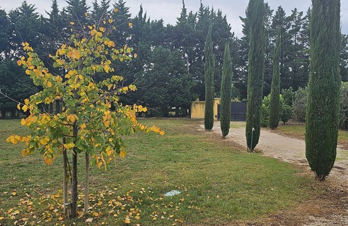 Noves Villa | Villa Provençale Entre les Alpilles et Avignon