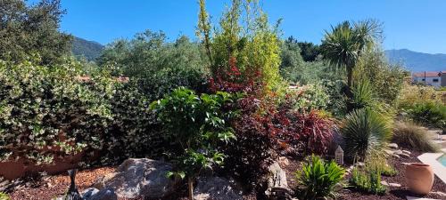 Saint-Andre Bed & Breakfast | Villa SOREDE