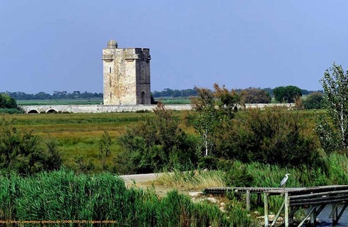 Saint-Laurent-d'Aigouze House | village house in the heart of the camargue