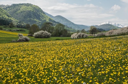 Roquefeuil Cottage | Welcome to Léontine 5 minutes from Lake Belcaire with its many activities