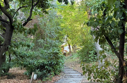 La Sarra - Saint Just House | XXL house & jacuzzi for 6-8 people Private forest in the heart of Vieux-Lyon