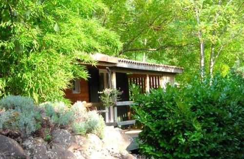 Darbres Ski Chalet | ZEcamping 3 étoiles pataugeoire pet friendly animations chalet 22m2 5 pers