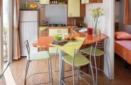 Saint-Rome-de-Tarn House | ZEcamping 4* familial piscine pet friendly locatif TV BBQ 30m2 4 pers