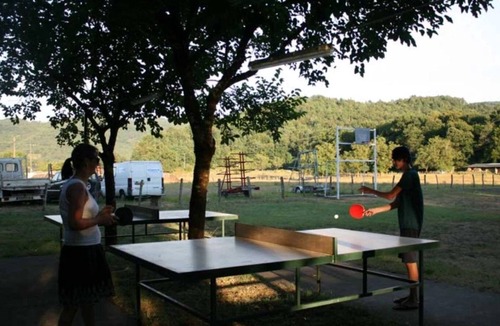 Monceaux-sur-Dordogne Ski Chalet | ZEcamping 4* piscine couverte pet friendly animations chalet TV 40m2