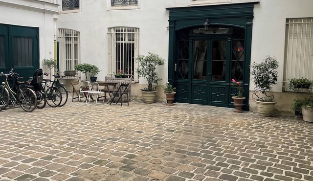 2 bedrs apt 1000 sqf in the center of paris across the bridge from le Louvre