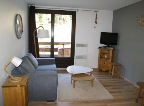 2 pièces avec balcon, au pied des pistes, vue piste, casier à ski, proche commerces et ESF - FR-1-557-26