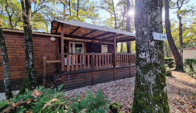 29 Résidence Quiètude 35 m2, Covered terrace, Dishwasher + Television 4 persons