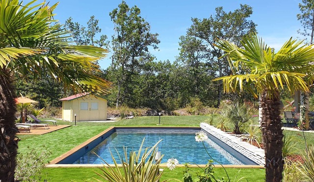 5-Star Villa: Heated Pool, 24 people, near Parentis-en-Born lake