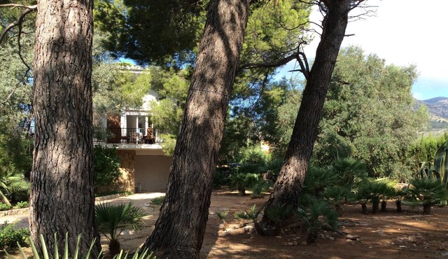 90m2 detached house on a 1000m2 enclosed garden bordered by cypresses & laurels