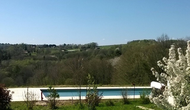 An air-conditioned limousine surrounded by nature, complete with a pool