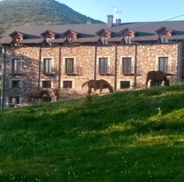 Apartamentos Fio de Neu con jardín, gimnasio, barbacoa