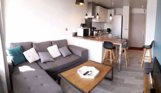 Apartment 39 m2, 2 rooms Ski in/out 150m, beautiful mountain view