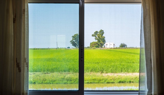 Apartment Villa Manoli within the Natural Park of Ebro Delta