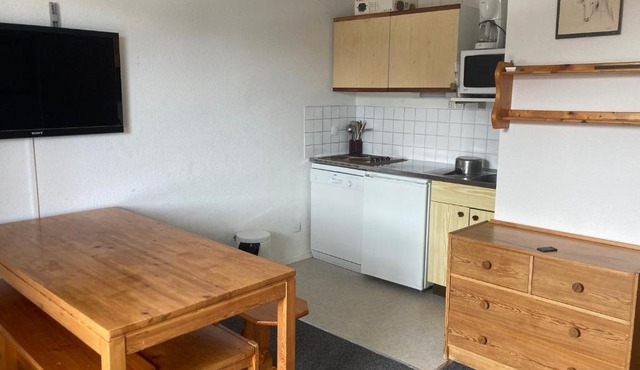 Appart 2 pièces avec balcon, proche pistes, animaux admis - FR-1-557A-25