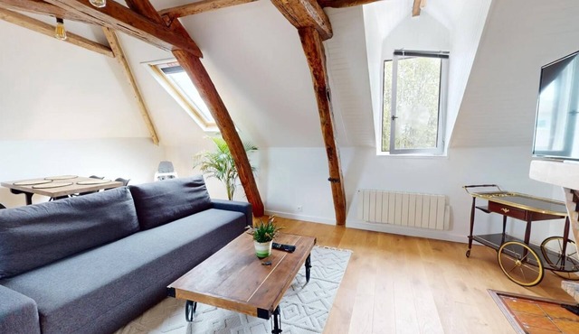Appartement cosy Orly aéroport