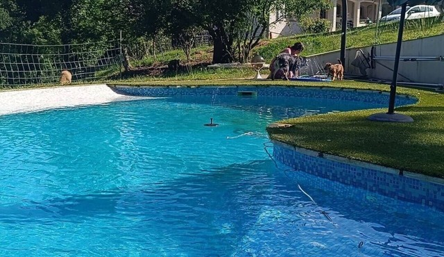 At Les Soays: a 40 m² air-conditioned studio with access to the pool, forest, and sheep