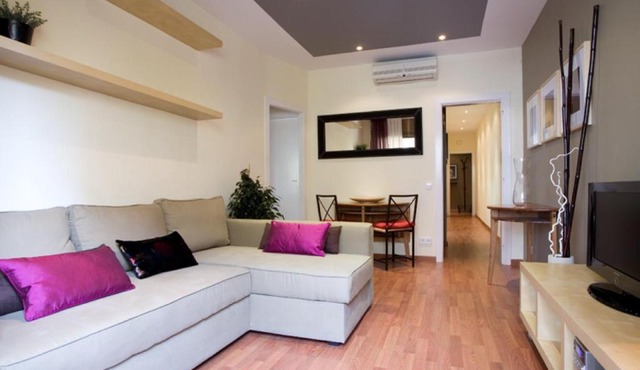 Avinguda Gaudi Apartment