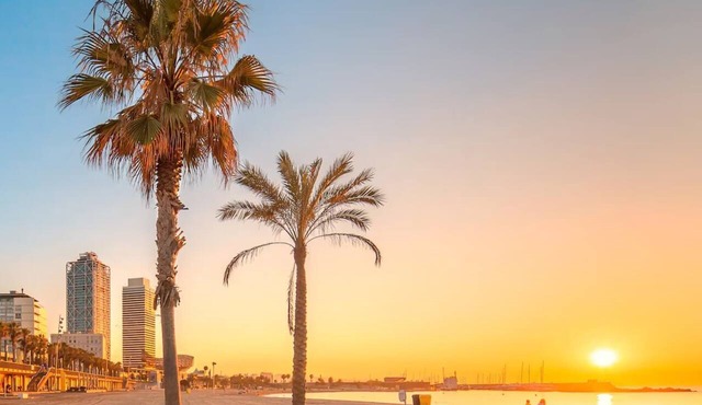 Barcelona Beach Home: Historic house with rooftop terrace 1 min from the beach!