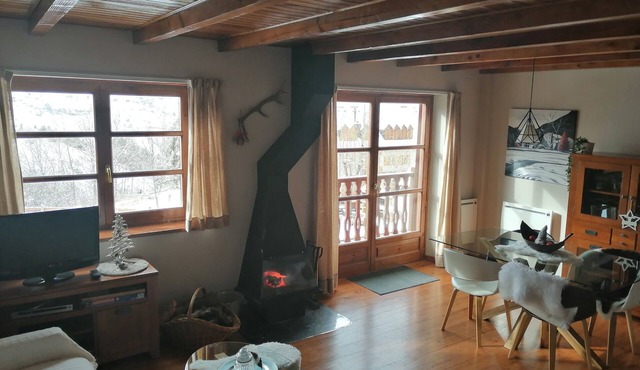 Beautiful triplex with garden and Wifi - Puig Falcó 1