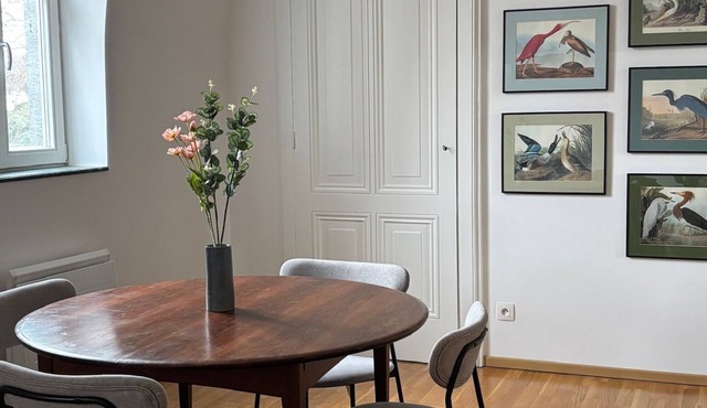 Boulevard belges parc Tête d'or, Lyon 6, studio with mezzanine bedroom