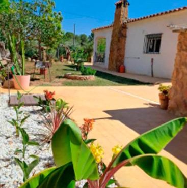 Buganvilla