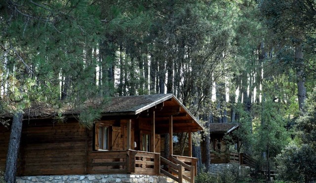 Cabins in Cuenca Llano de los Conejos. Standard 1