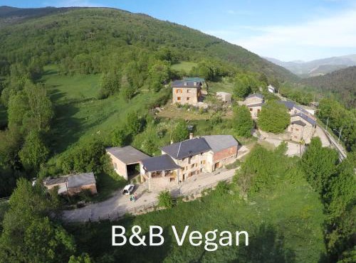 Cal Calau vegà