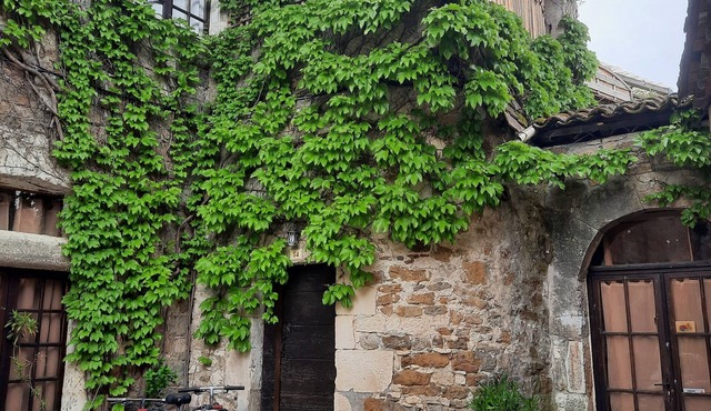 Carennac-Rocamadour-Padirac- suite parent.SdB+wc+salon+TV et/ou chambre-jardin