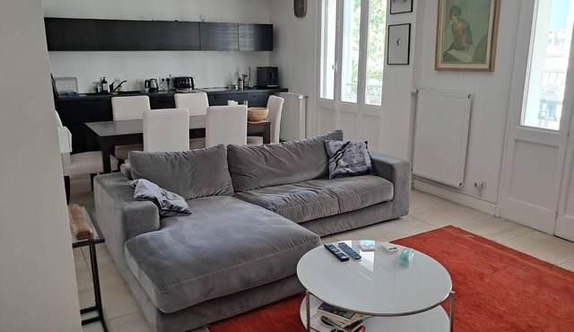 Central and modern 100% air-conditioned apartment 5 minutes walk from the Rhone