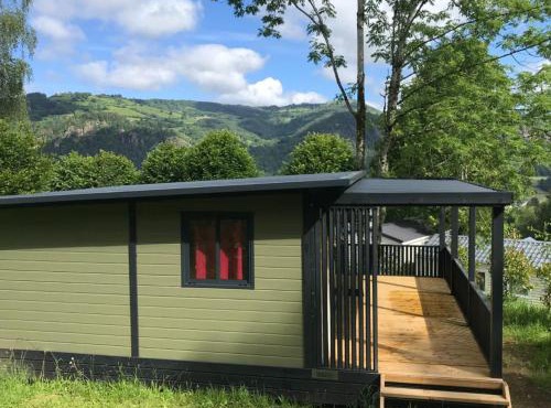 Chalet confortable 5 pers avec terrasse à Vic-sur-Cère - API-1-52-1248