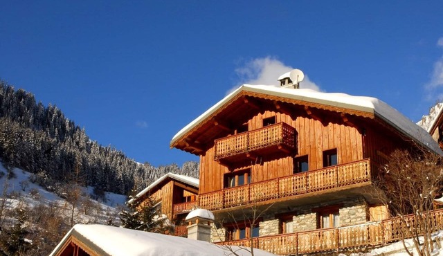 CHALET LES GENTIANES BLEUES 12/14 Personnes