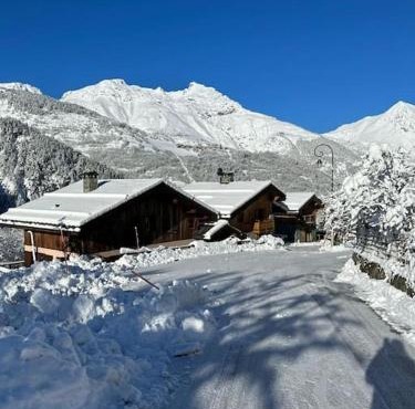 Chalet licorne 12 personnes à 3 min des pistes st martin de Belleville 3 vallées
