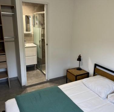 Chambre avec salle d'eau privée dans appartement partagé 200 m du tram