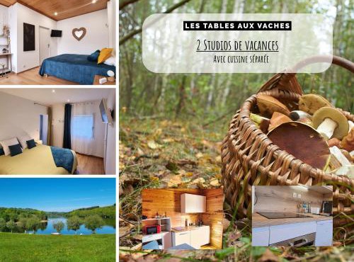 Chambres d'Hôtes avec cuisine au lac de la Raviège - Les Tables Aux Vaches