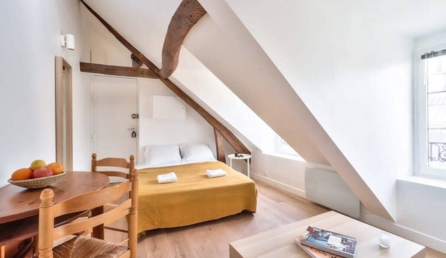 Charming 1 Bedroom Apt in the Heart of Paris (6)