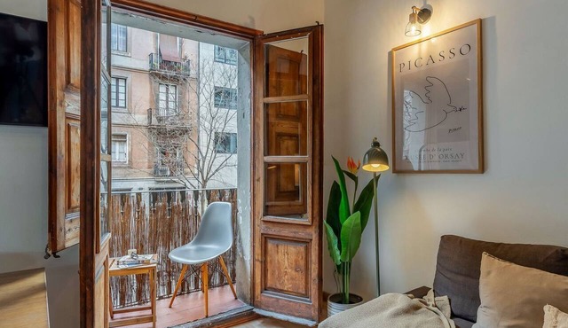 Charming apartment city center