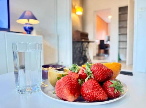 Charming apartment in Albi Free parking