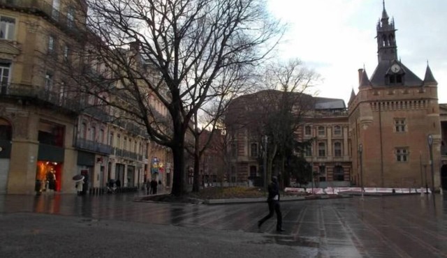 Charming apartment, very quiet, a stone's throw from the Capitole