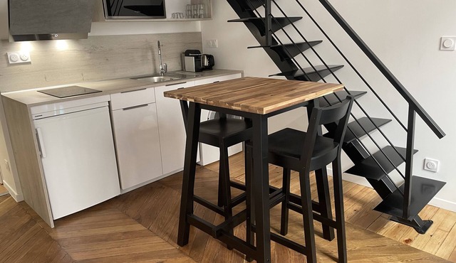 Charming duplex Lyon 1er