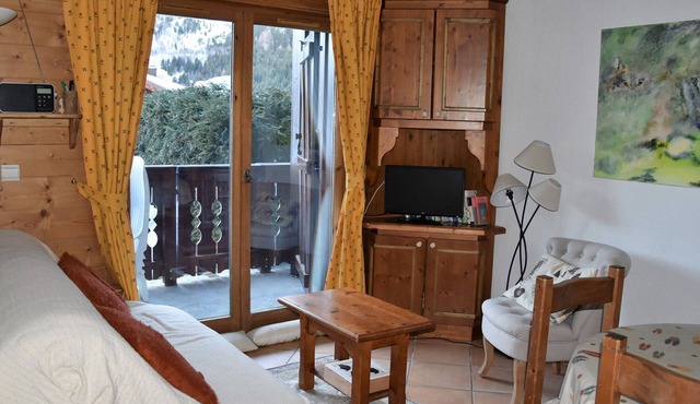 Charming family apartment with terrace, near slopes