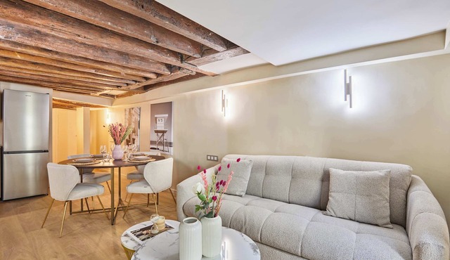Charming renovated apartment in Center of Paris