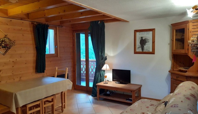 Charming T2 Mountain Pralognan 4 ppl
