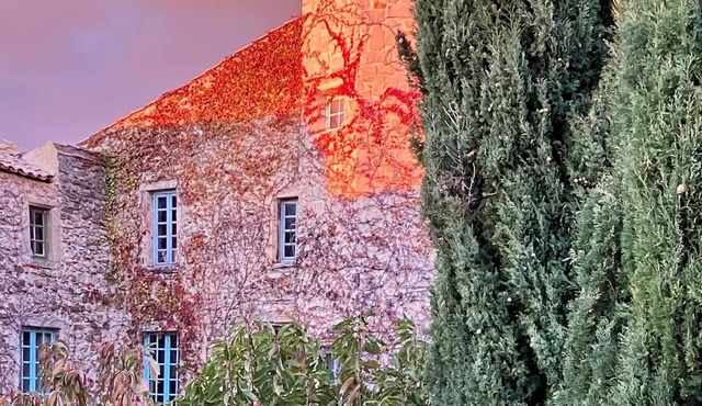 Chateau provencal 17th/sleeps 9/pool and garden