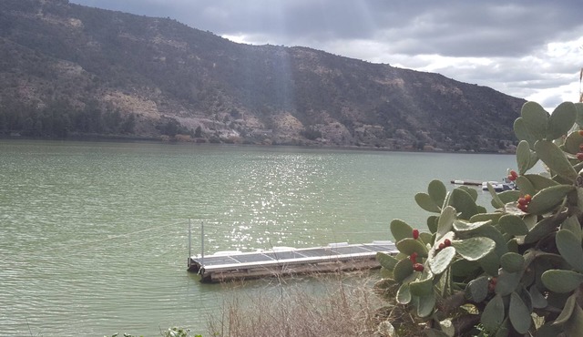 Comfortable apartment for relaxation and leisure, near reservoir, castle, museums.