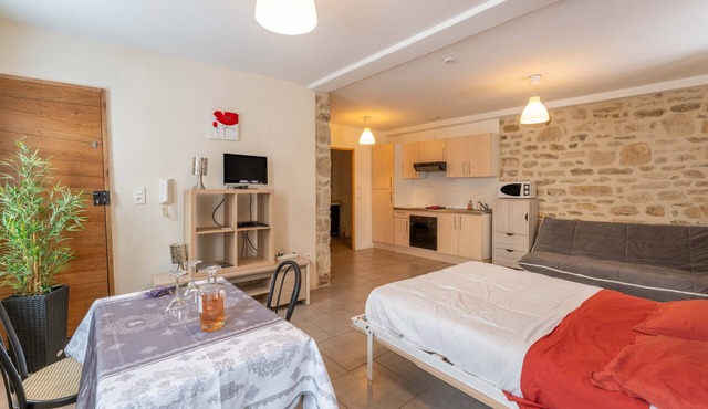 Comfortable Studio at the Foot of Mont Ventoux