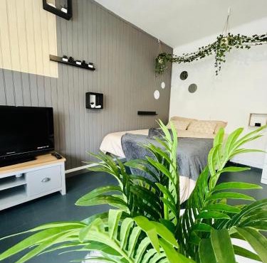Cosy - Studio Plage & Soleil