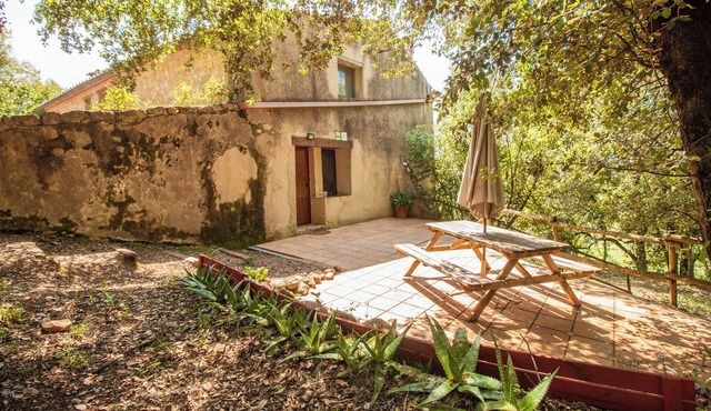 Country house with capacity for 14 people with a large garden, pool, barbecue, etc.