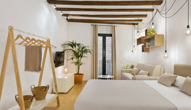 Cozy and elegant studio in the city center